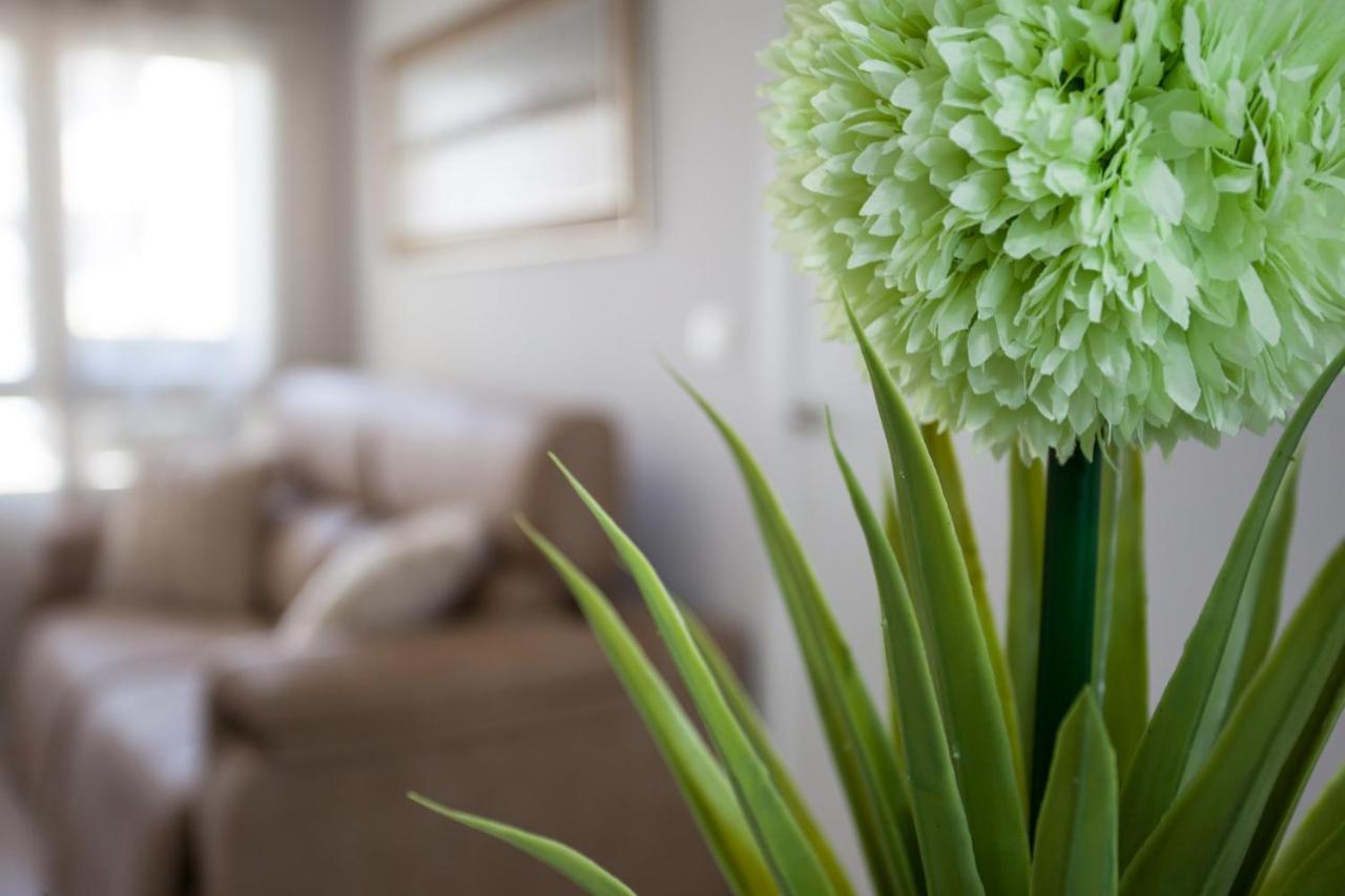 Arabial Deluxe Apartment Granada Ngoại thất bức ảnh